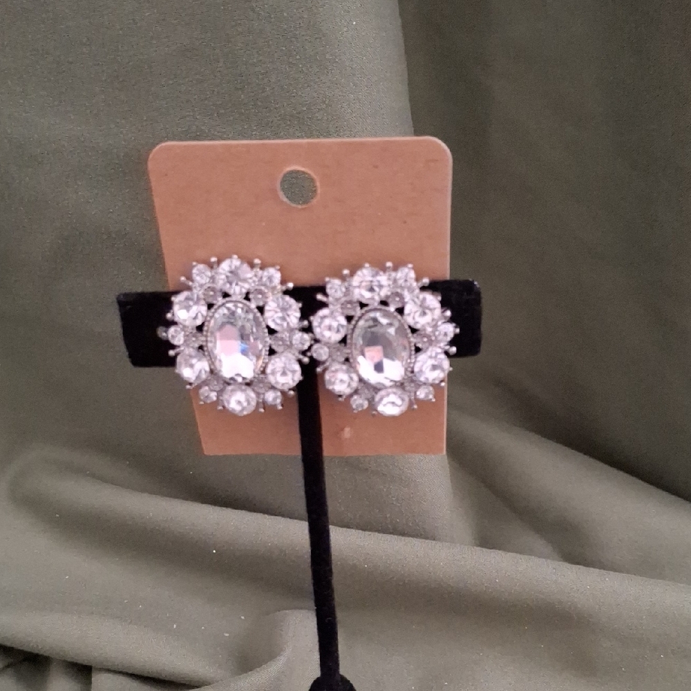 Paparazzi Silver Crystal Earrings